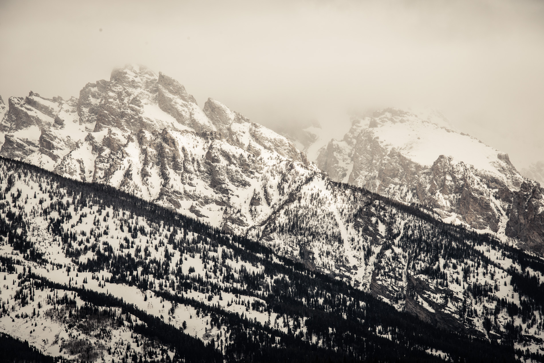 Camp_OF_FW14_5_008
